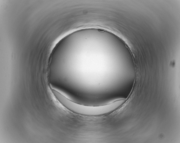 X0000093141534200710241332