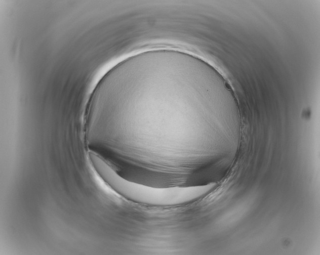 X0000093141535200710241332