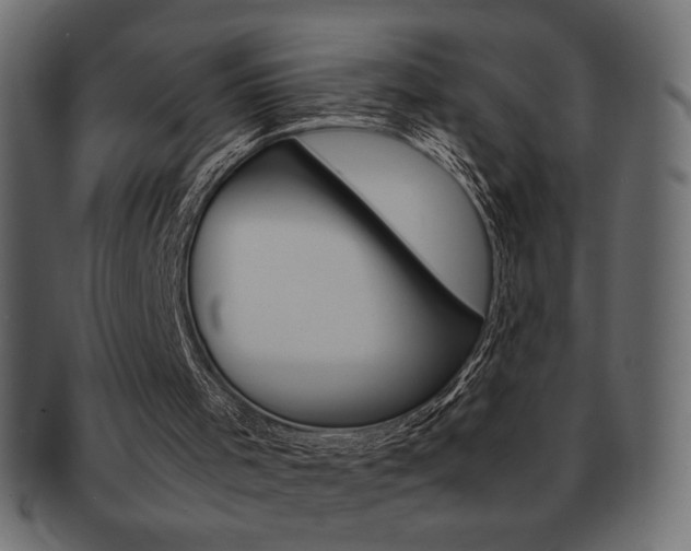 X0000093150001200709261025