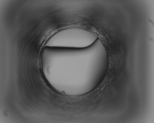 X0000093150002200709261025