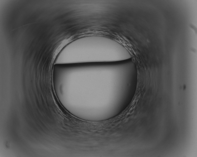 X0000093150003200709261025