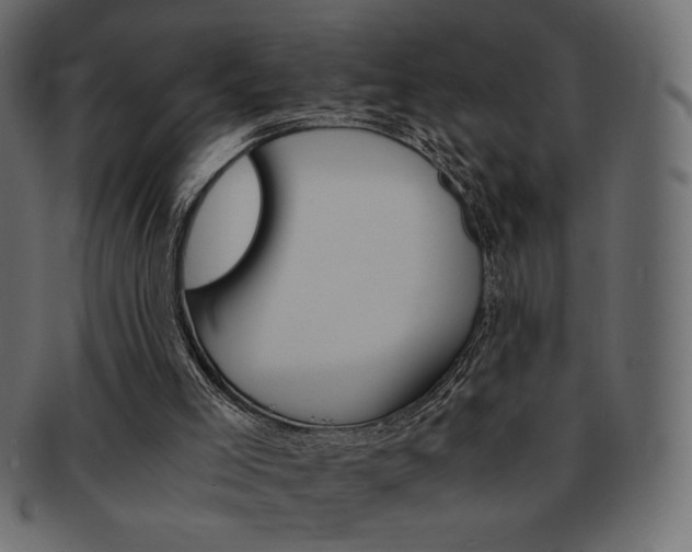 X0000093150005200709261025