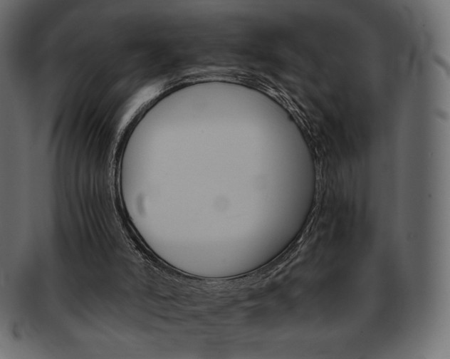 X0000093150006200709261025