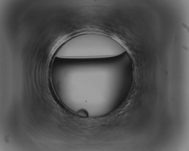 X0000093150007200709261025