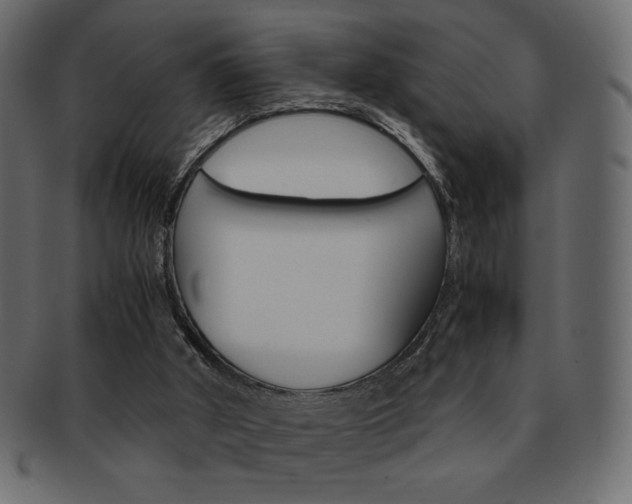 X0000093150010200709261025