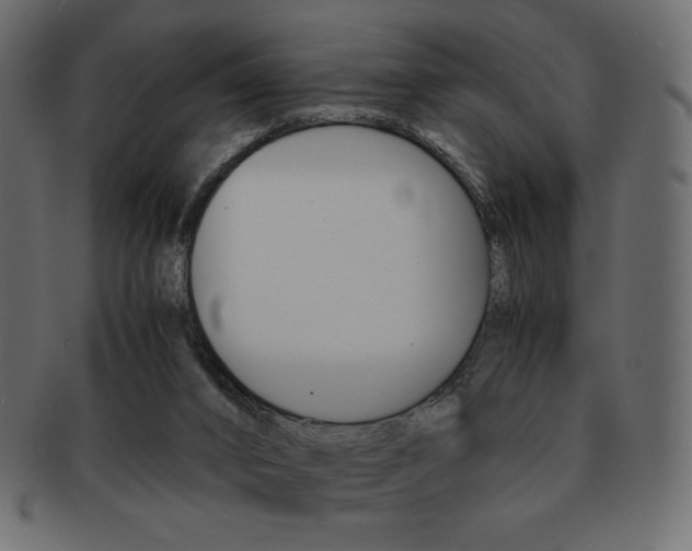 X0000093150016200709261025