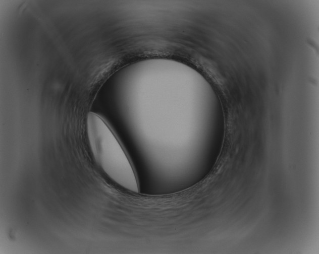 X0000093150017200709261025