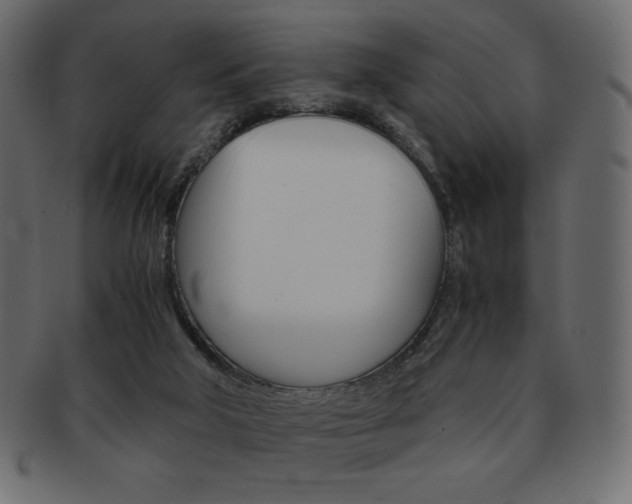 X0000093150018200709261025
