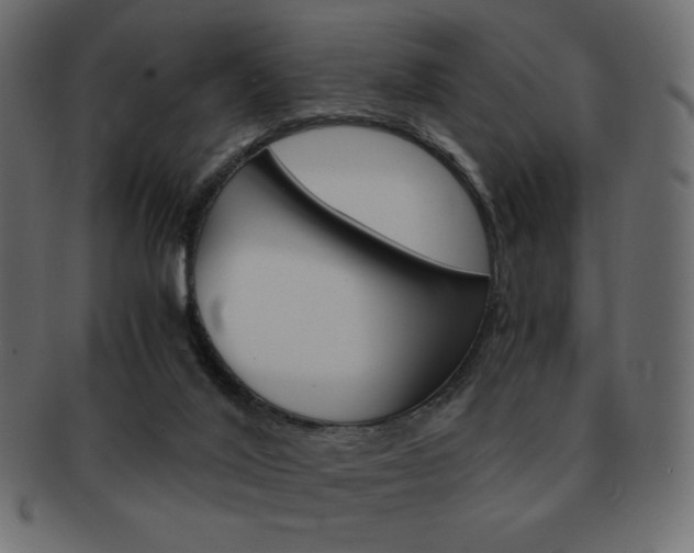 X0000093150020200709261025