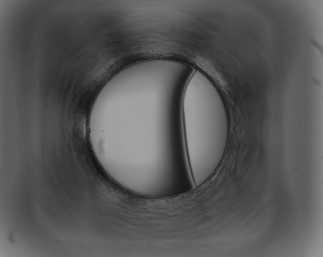 X0000093150021200709261025