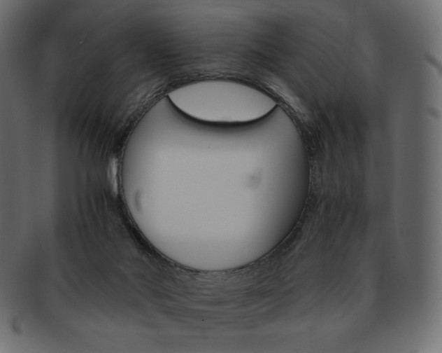 X0000093150022200709261025