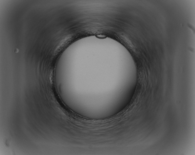 X0000093150023200709261025
