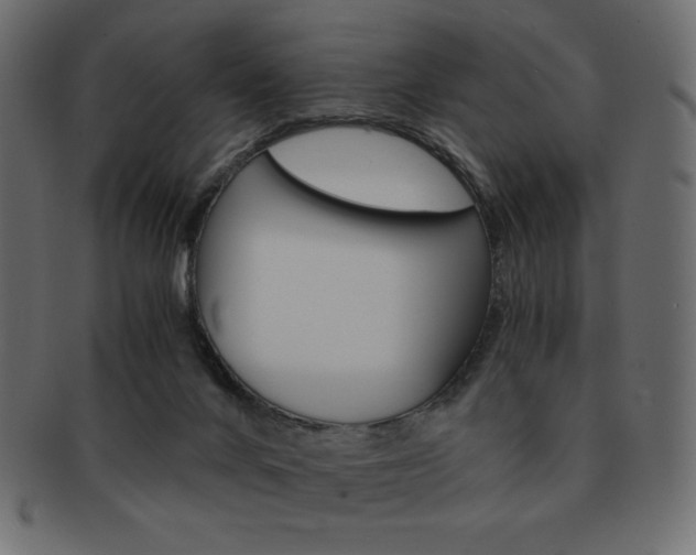 X0000093150024200709261025