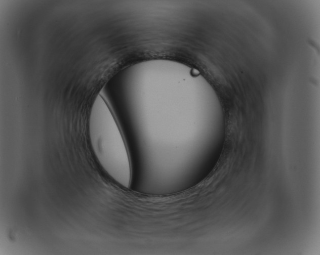 X0000093150025200709261025