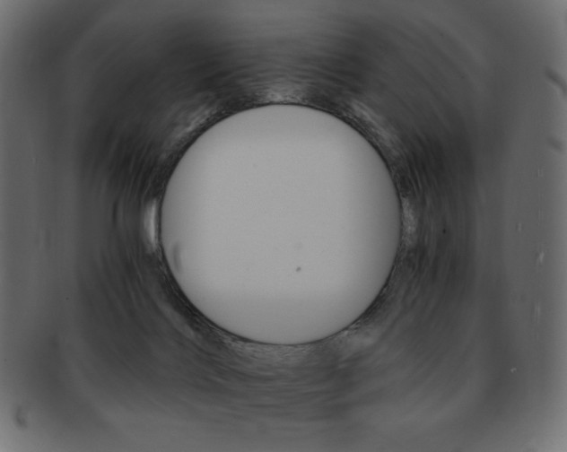 X0000093150028200709261025