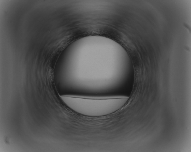 X0000093150029200709261025