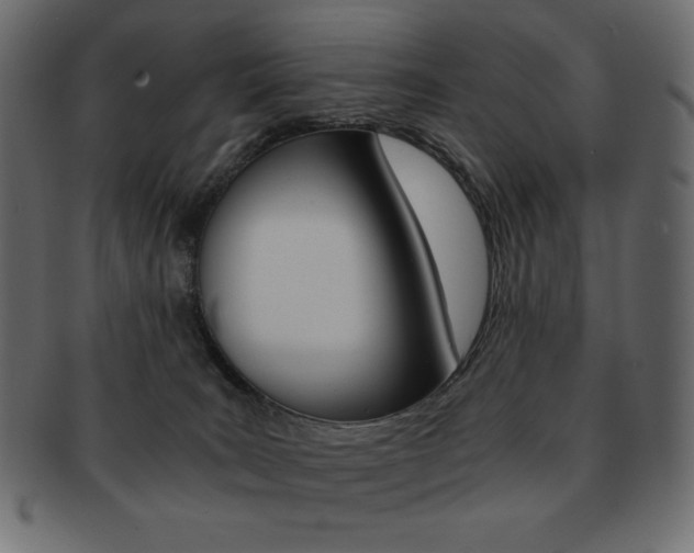 X0000093150035200709261025