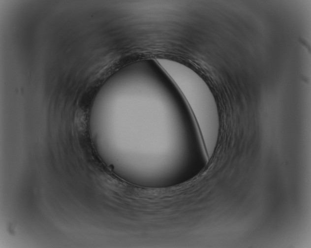 X0000093150037200709261025