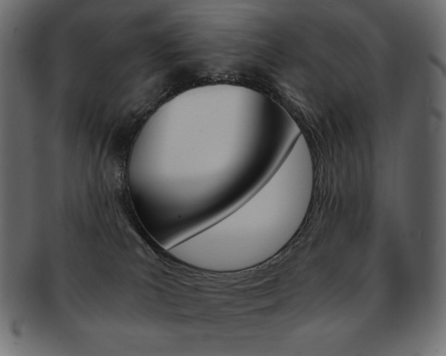 X0000093150039200709261025