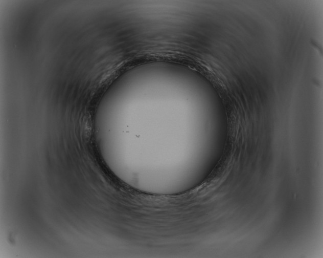 X0000093150040200709261025