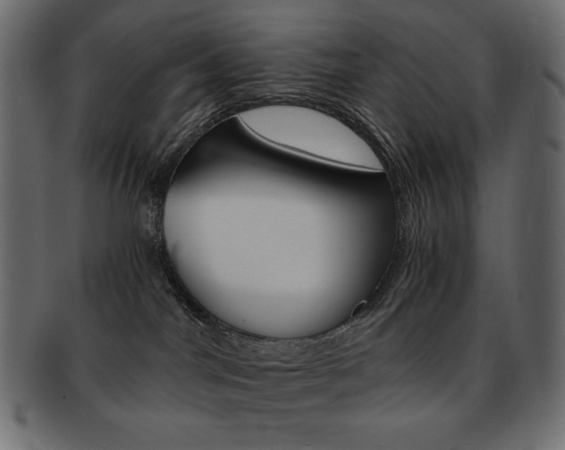 X0000093150044200709261025