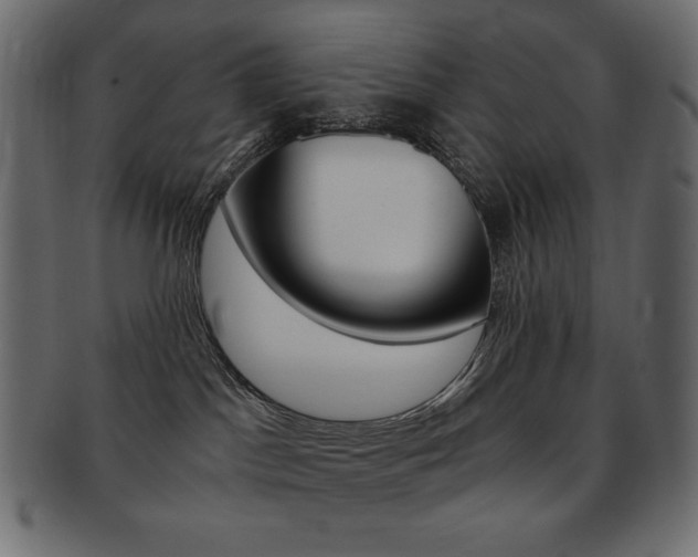 X0000093150045200709261025