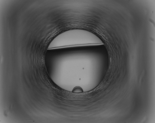 X0000093150048200709261025