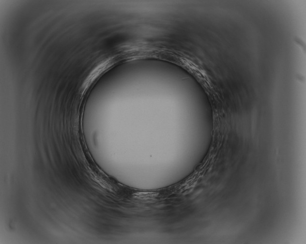 X0000093150051200709261024