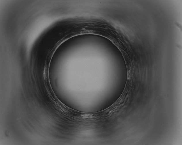 X0000093150052200709261024