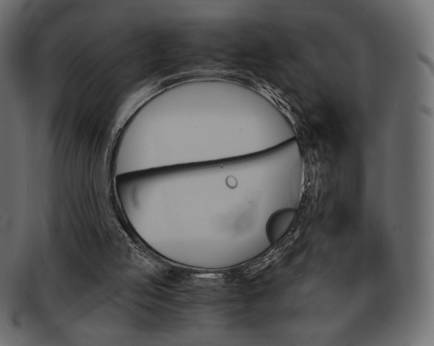 X0000093150053200709261024