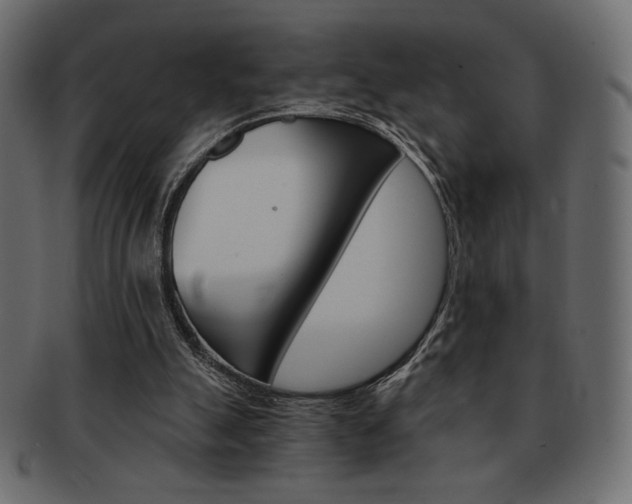 X0000093150055200709261024