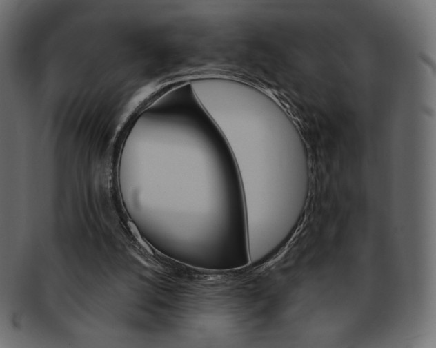 X0000093150056200709261024