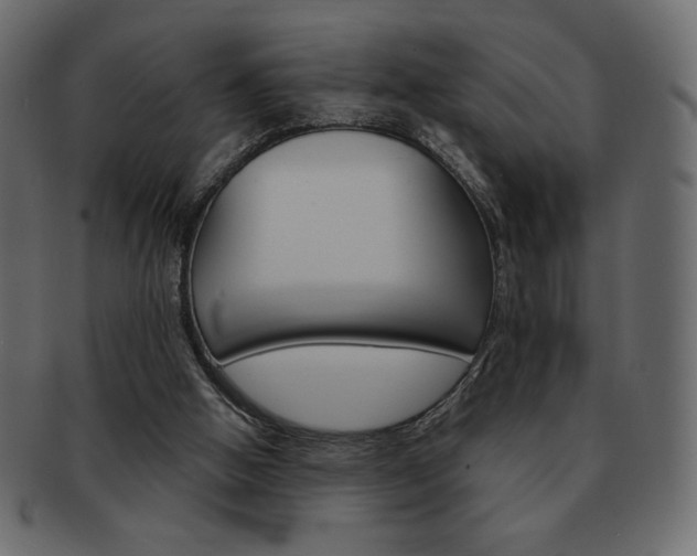 X0000093150058200709261024