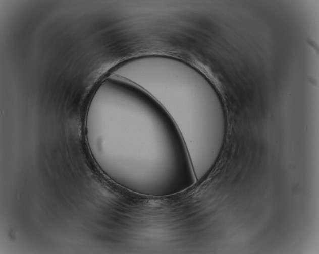 X0000093150060200709261024