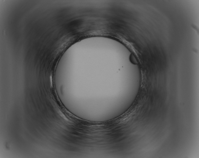X0000093150061200709261024