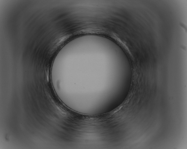 X0000093150062200709261024