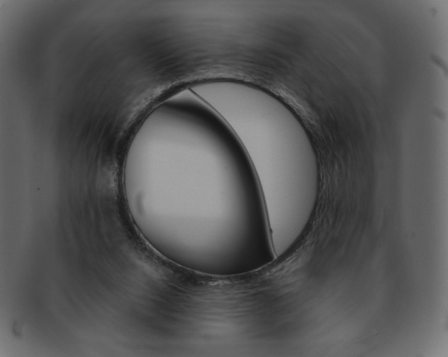 X0000093150064200709261024