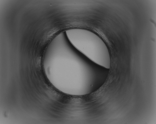 X0000093150066200709261024