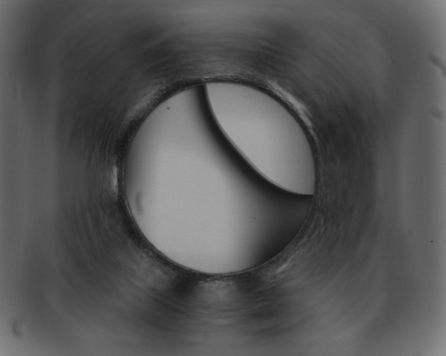 X0000093150067200709261024