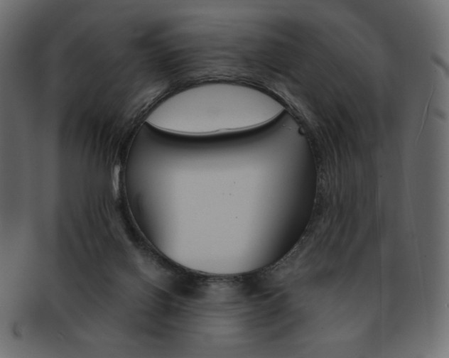 X0000093150070200709261024