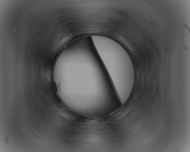 X0000093150072200709261024