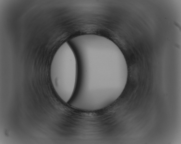 X0000093150073200709261024