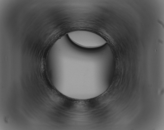 X0000093150074200709261024