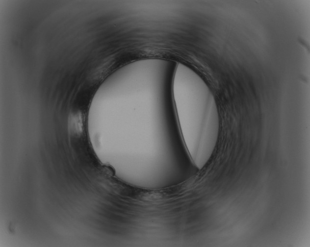 X0000093150075200709261024