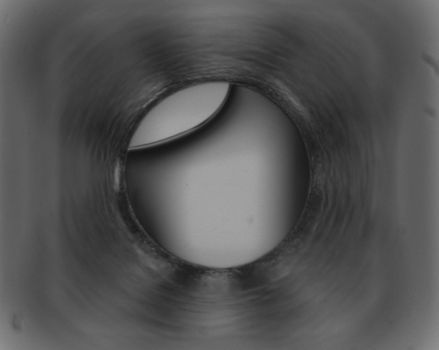 X0000093150076200709261024