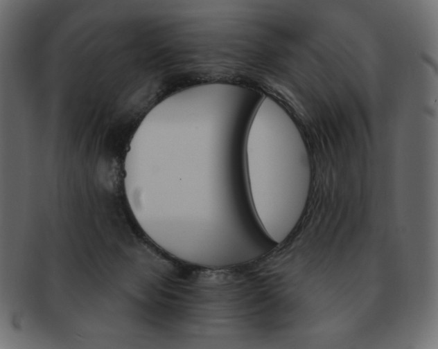 X0000093150077200709261025