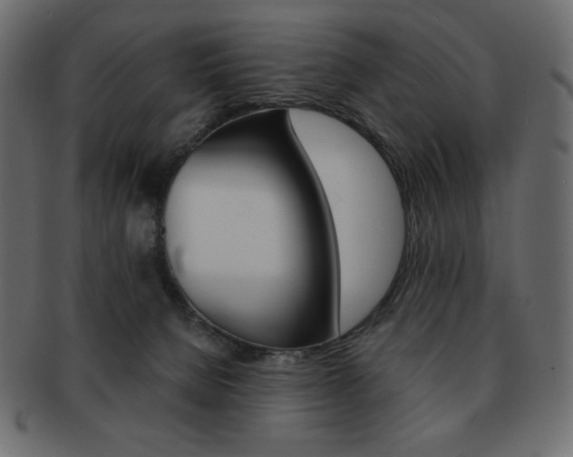 X0000093150080200709261025