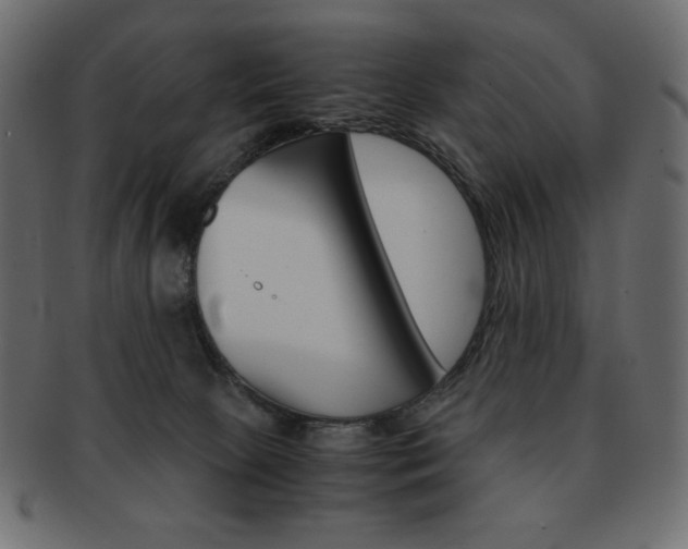 X0000093150081200709261025