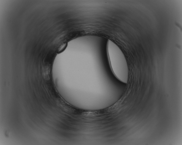 X0000093150082200709261025