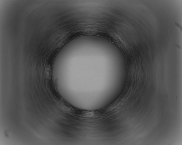 X0000093150083200709261025